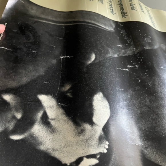 Albert Einstein vintage poster - Picture 8 of 8